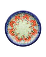 Dinner plate shallow (24cm)
