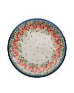 Dinner plate shallow (24cm)